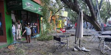 Fuertes ráfagas de viento zonda en la provincia de Mendoza, donde dejó algunos árboles caidos.
En la Alameda en Av. San Martín y Coronel Plaza de Ciudad un arbol cayó por consecuencias del viento zonda.
Foto: José Gutierrez/ Los Andes