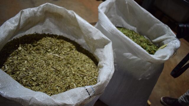 Según lo anticipado por el Gobierno de Corrientes la flamante medida del INYM dañará al sector yerbatero correntino.