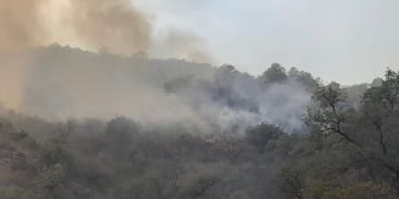 Los incendios en Valle Fértil quemaron más de 5 mil hectáreas.
