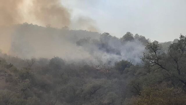 Los incendios en Valle Fértil quemaron más de 5 mil hectáreas.