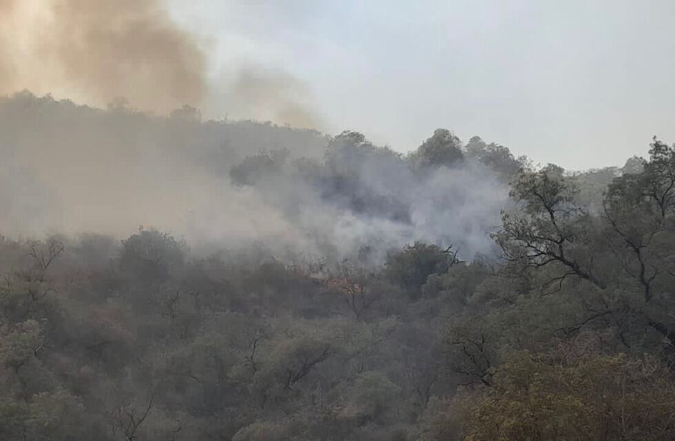 Logran contener el incendio en Valle Fértil pero “el daño es enorme”