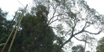 Puerto Iguazú: realizaron operativo de limpieza a causa de las intensas lluvias.