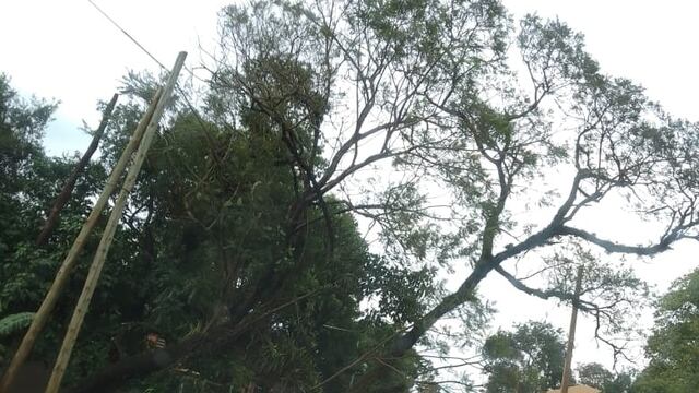 Puerto Iguazú: realizaron operativo de limpieza a causa de las intensas lluvias.