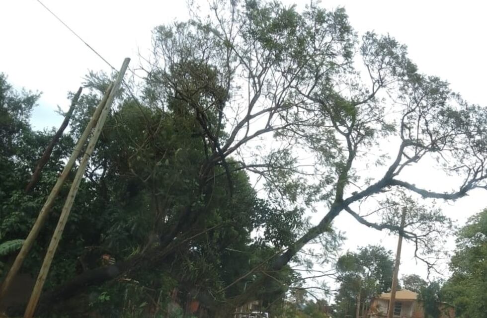 Puerto Iguazú: realizaron operativo de limpieza a causa de las intensas lluvias