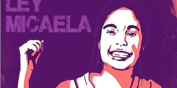 Ley Micaela