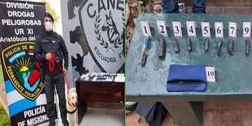 El hombre poseía 8 envoltorios de marihuana entre sus pertenencias.