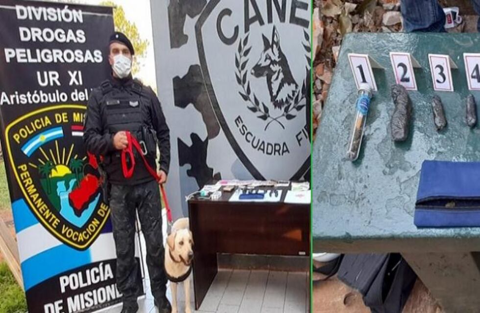 Aristóbulo: la perra antinarcóticos “Kira” detectó a un presunto dealer