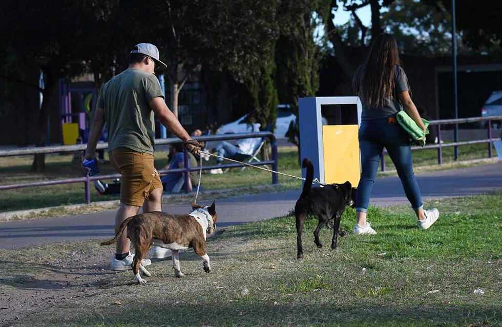 Tres actividades para celebrar junto a tu mascota