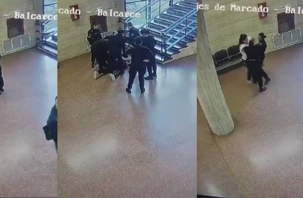 Quiso sacarle el arma a una policía de Tribunales de Rosario y el video se viralizó