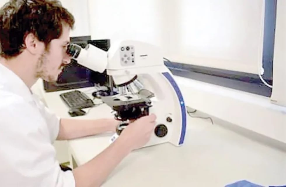 Comienzan las actividades de la Semana de la Ciencia en Puerto Iguazú