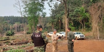 Frenan desmontes y ocupaciones ilegales en San Pedro en un amplio operativo forestal.