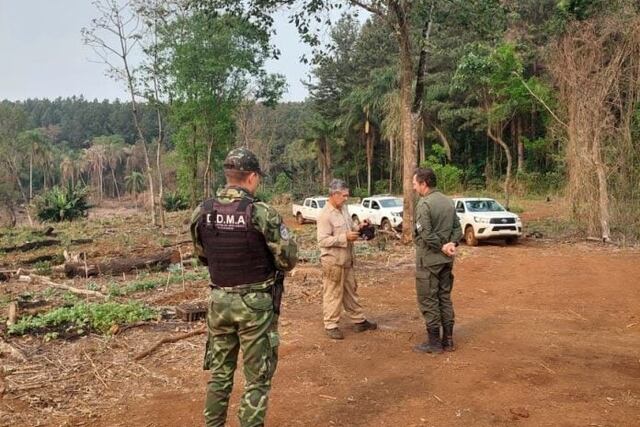 Frenan desmontes y ocupaciones ilegales en San Pedro en un amplio operativo forestal.