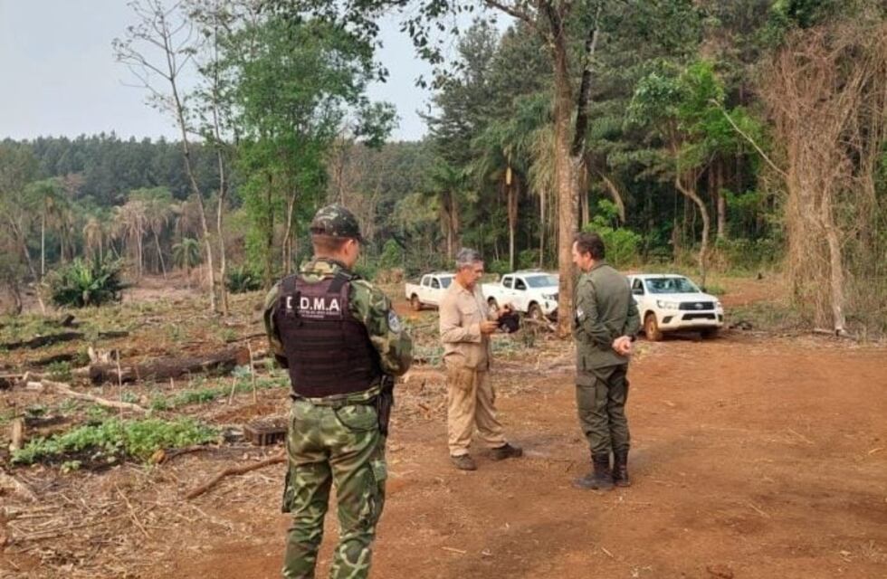 Frenan desmontes y ocupaciones ilegales en San Pedro en un amplio operativo forestal