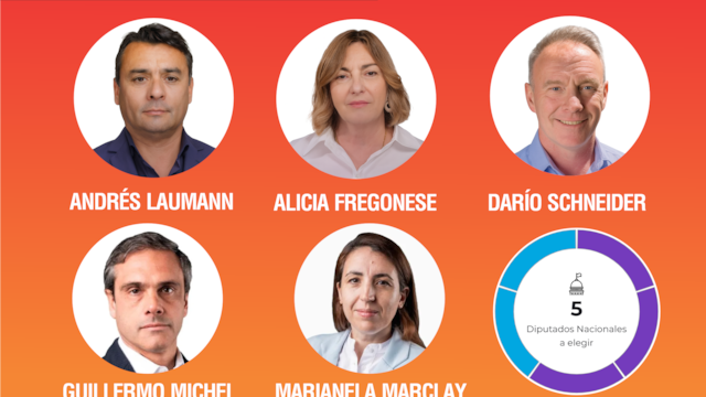 Elecciones 2025: Laumann, Fregonese y Schneider llegaron a la Cámara Baja junto a Michel y Marclay