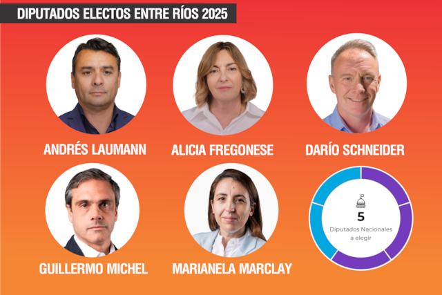 Elecciones 2025: Laumann, Fregonese y Schneider llegaron a la Cámara Baja junto a Michel y Marclay