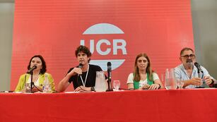 El senador y presidente de la UCR, Martín Lousteau, en la mesa de conducción partidaria (Archivo)