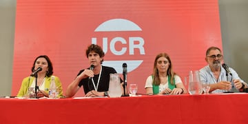 El senador y presidente de la UCR, Martín Lousteau, en la mesa de conducción partidaria (Archivo)