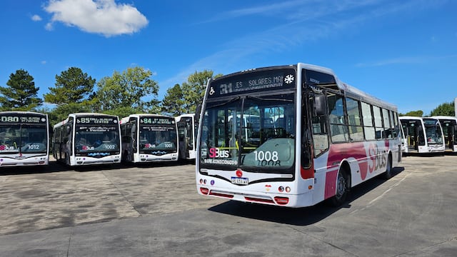 La empresa se hará cargo de algunas líneas del transporte urbano de Córdoba.