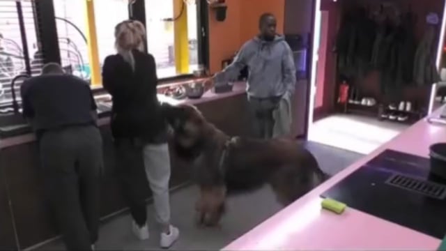 Gran Hermano: el angustiante desafío que tuvieron que cumplir los participantes de Estados Unidos.