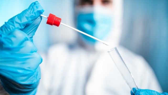 Coronavirus en Tandil: quién debe hisoparse y quién no en la ciudad