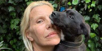 Nora Portela rescata animales de la calle.