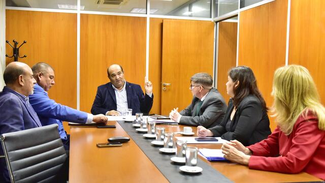 Presidente de la Comisión de Familia, Niñez, Adolescencia, Adultos Mayores y Discapacidad de la Legislatura provincial