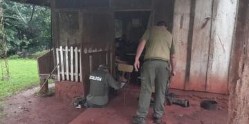 Investigan un presunto ataque de pumas a perros en Puerto Esperanza,