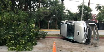 Una camioneta mordió el cantero de avenida Ricardo Rojas, dio varios tumbos y quebró un árbol.