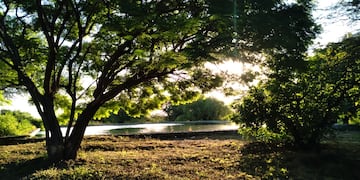 Naturaleza ante todo: los 4 parques nacionales más fascinantes para visitar y recorrer en Argentina