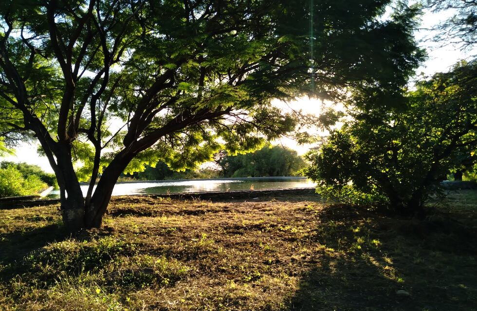 Día de los Parques Nacionales: los 4 más fascinantes para visitar y recorrer en Argentina