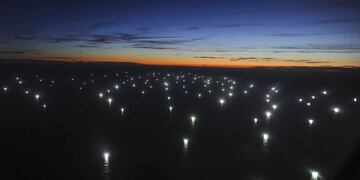 Unos 300 buques chinos arrazan con los recursos marítimos de Argentina.