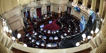 Sesión Pública especial remota del Senado de la Nación