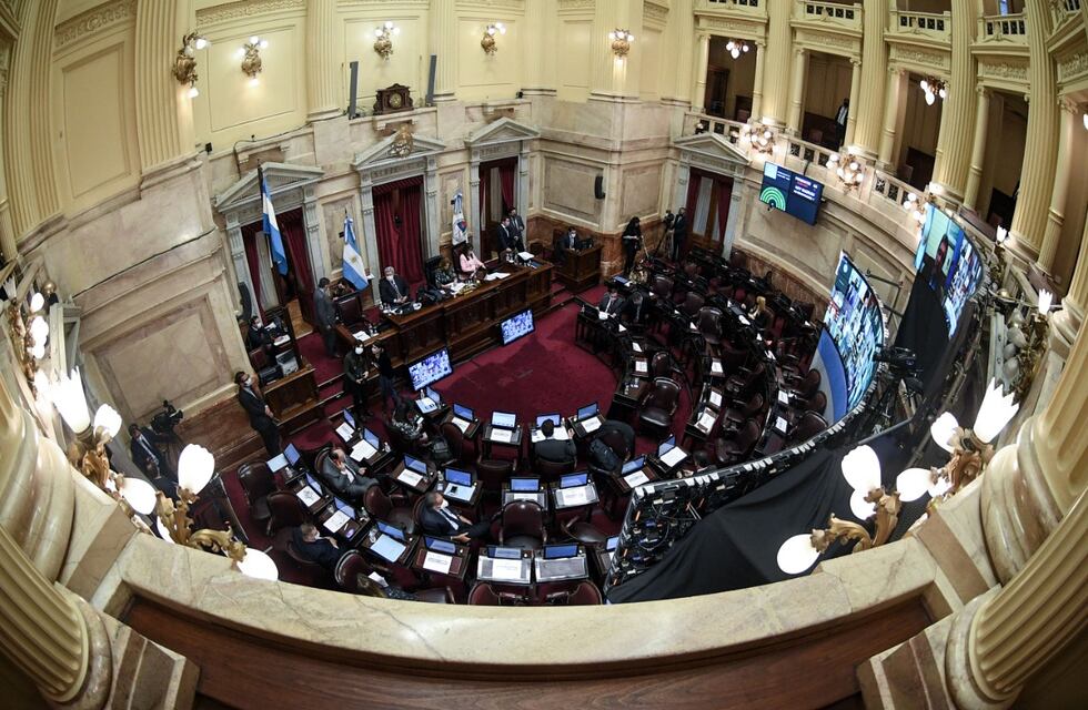 Revés para Guzmán: el oficialismo aprobó un proyecto que autoriza al Ejecutivo a gastar fondos del FMI en la pandemia