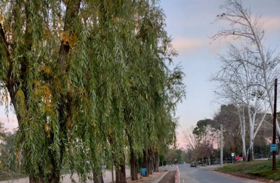 Reformas en el paseo de la costanera de Mina Clavero