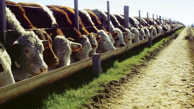 Via Campo
