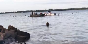Buscan a un joven que desapareció de la superficie en el río Paraná.