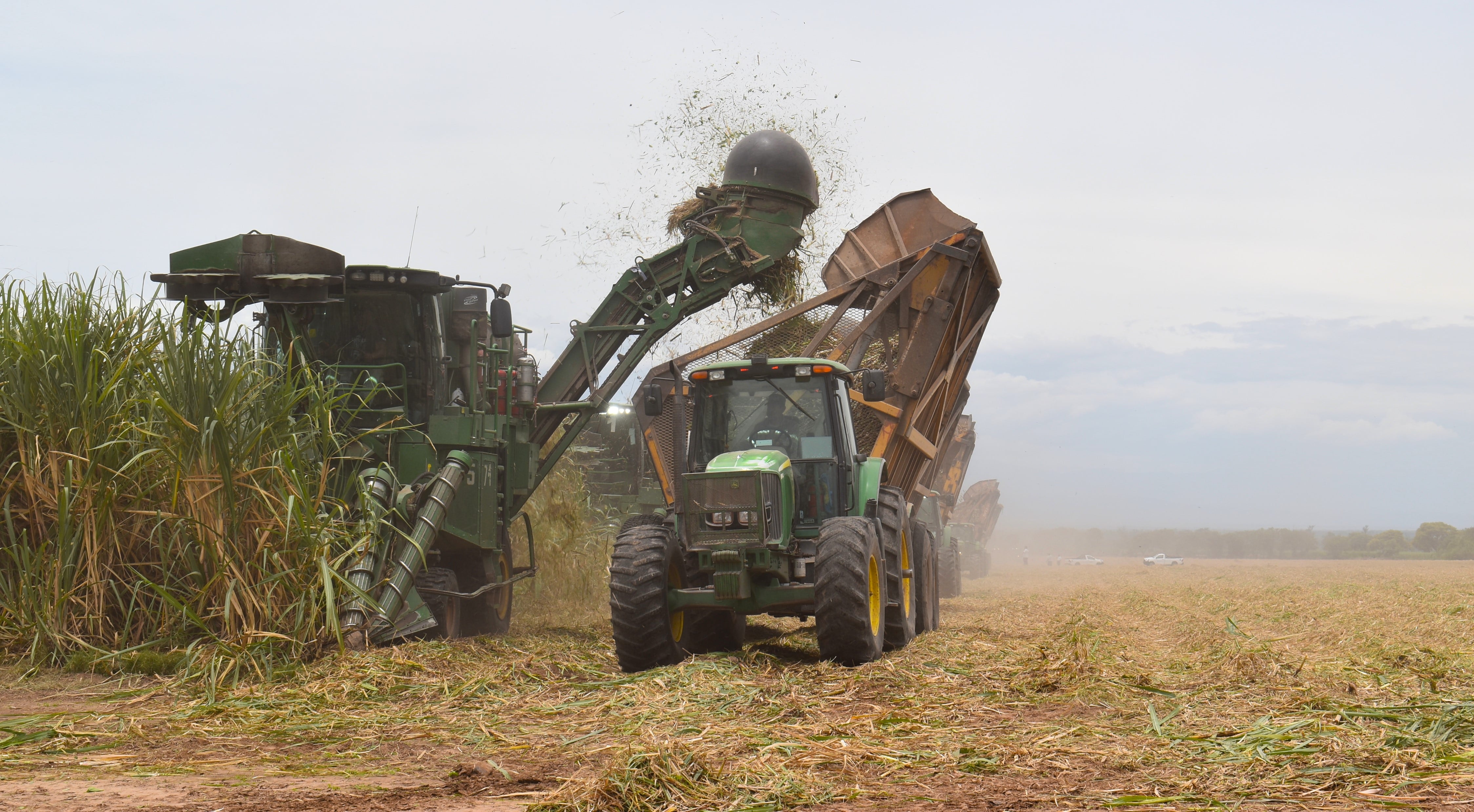 La zafra es el ciclo completo que va desde la cosecha de la caña de azúcar en el campo hasta la obtención del azúcar cristalizado en la fábrica.
