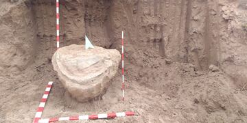 Hallazgo de restos fósiles en Tortugas (Gobierno de Santa Fe)