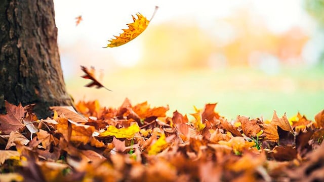 Lunes de cielo nublado en Córdoba