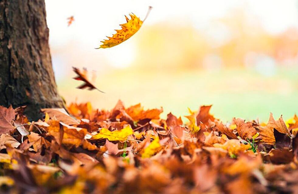 Lunes de cielo nublado en Córdoba