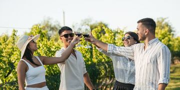 Vinos y viñedos de Gualeguaychú