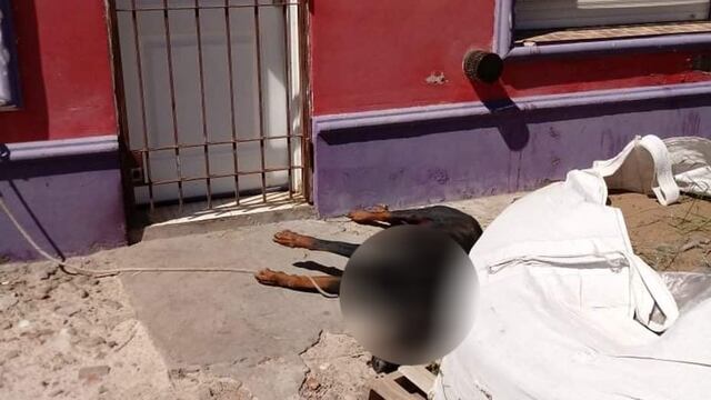 Perro fallecido