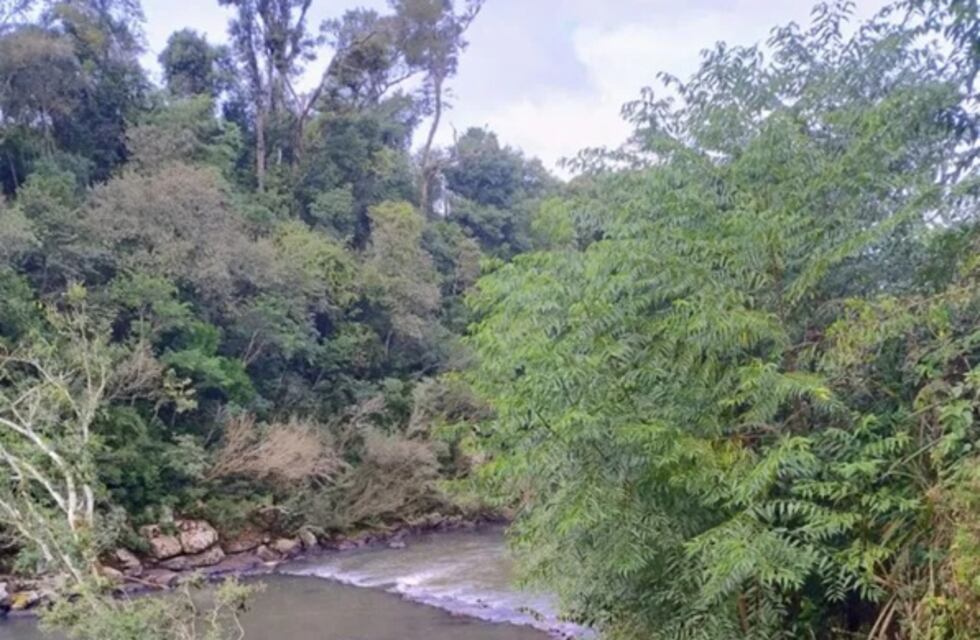 Continúa la intensa búsqueda de un niño de 10 años desaparecido en El Soberbio