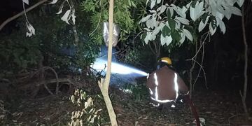 Rescatan a una familia que quedó atrapada en una vivienda tras la caída de un árbol en Iguazú.