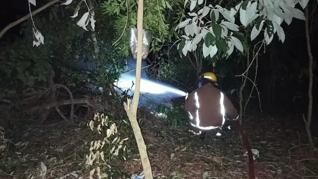 Rescatan a una familia que quedó atrapada en una vivienda tras la caída de un árbol en Iguazú.
