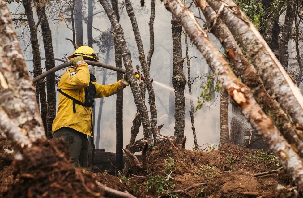 “Estamos trabajando día a día para extinguir el incendio en la Reserva Corazón de la Isla”