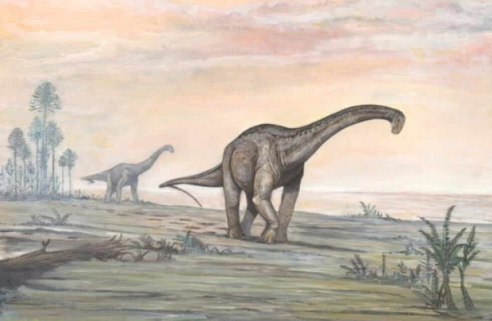 Falta poco para poder seguir las huellas de los dinosaurios en el sur mendocino