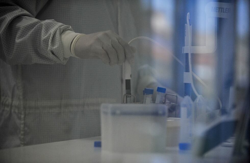 Coronavirus: anuncian que la vacuna de Oxford también es efectiva contra la variante británica