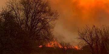 Pepe Tobal Gentileza