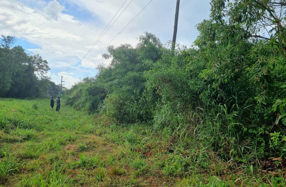 Oberá: dos sospechosos detenidos por el asesinato de la mujer que fue hallada en el terreno baldío